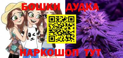 дмт Малгобек